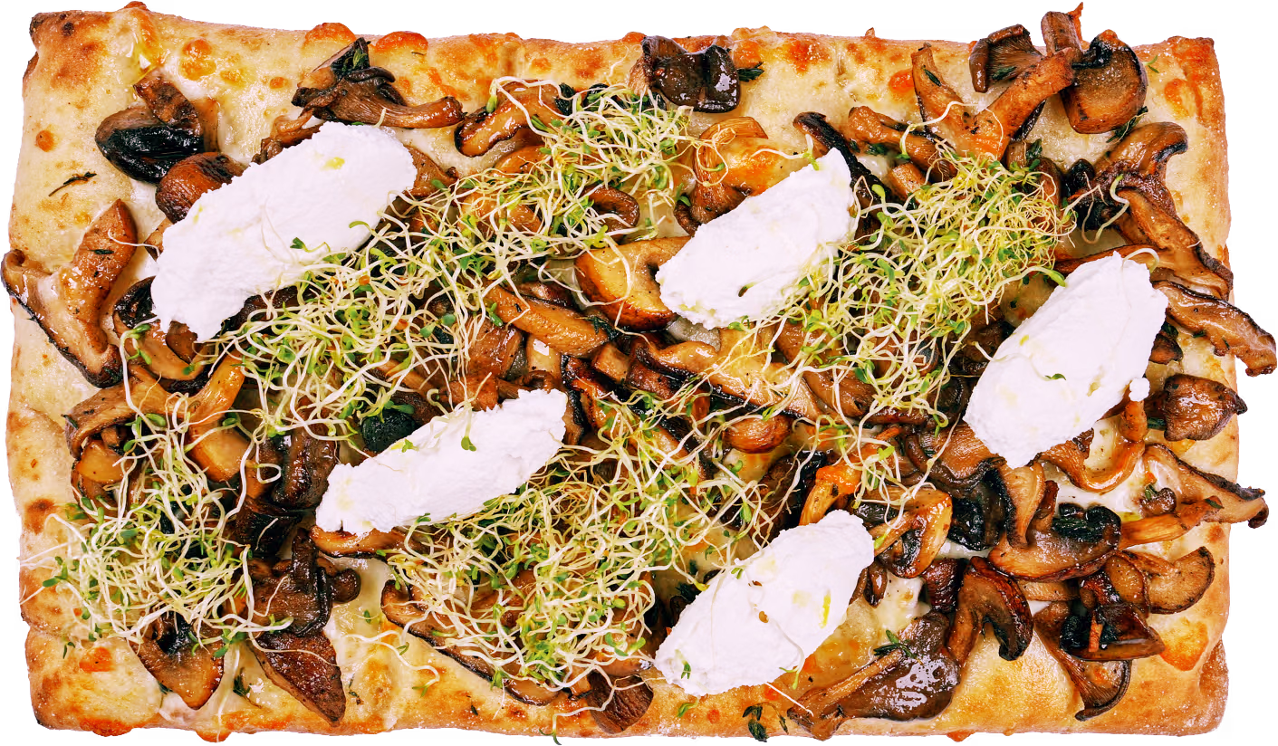 Topped Flatbread with ricotta and mushrooms.