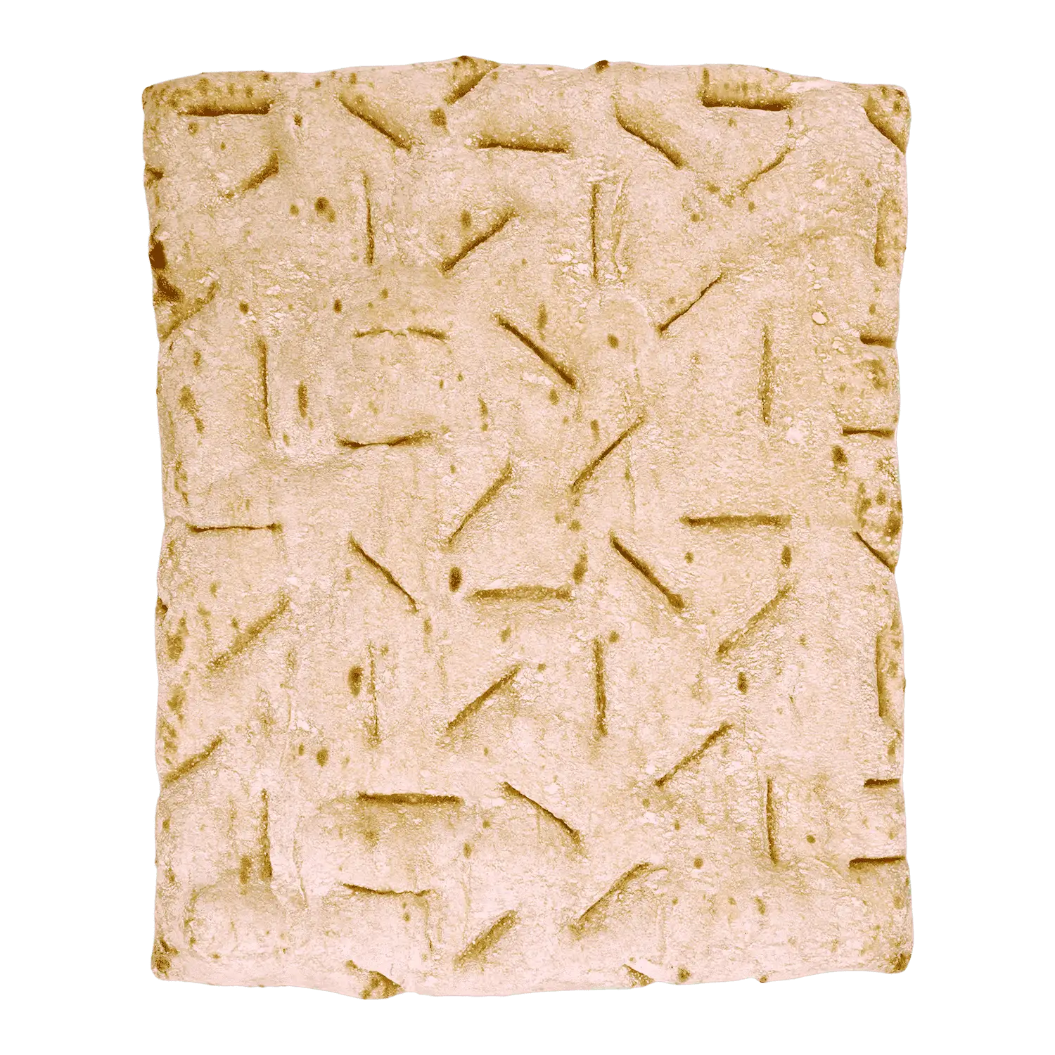 Top down image of family flatbread crust