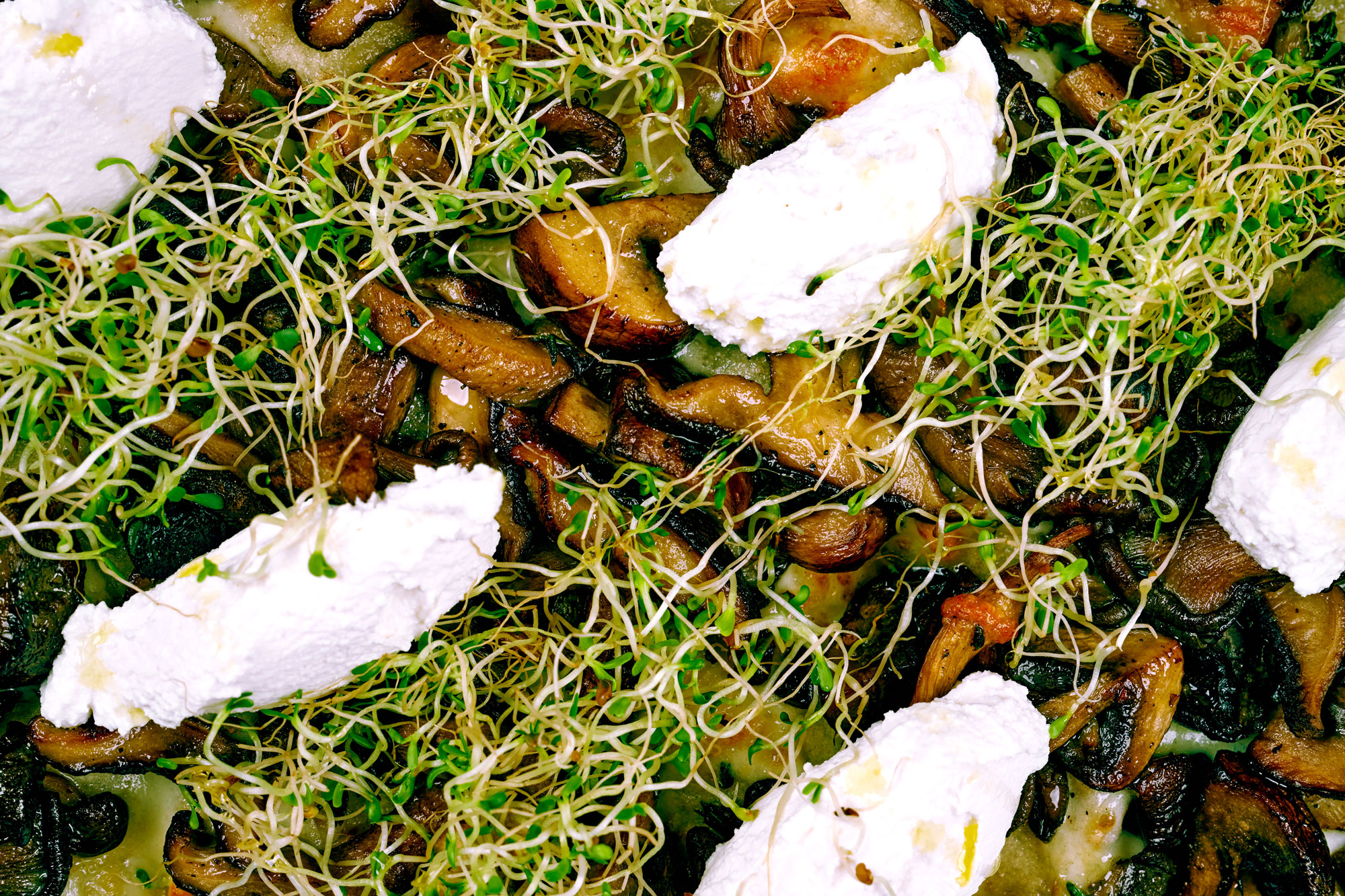 Wild Mushroom & Ricotta close up shot