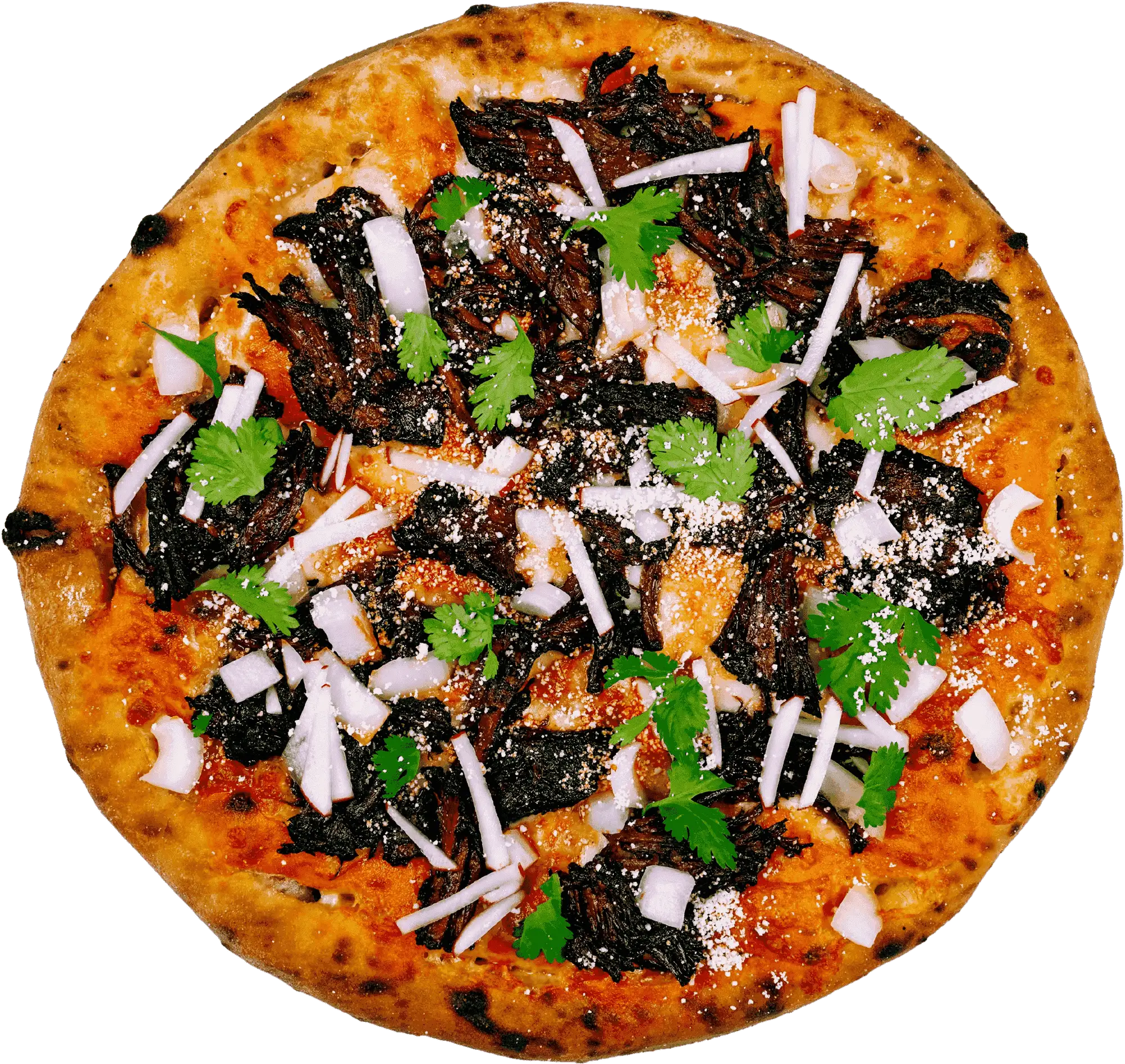 Beef Birra Pizza top down shot