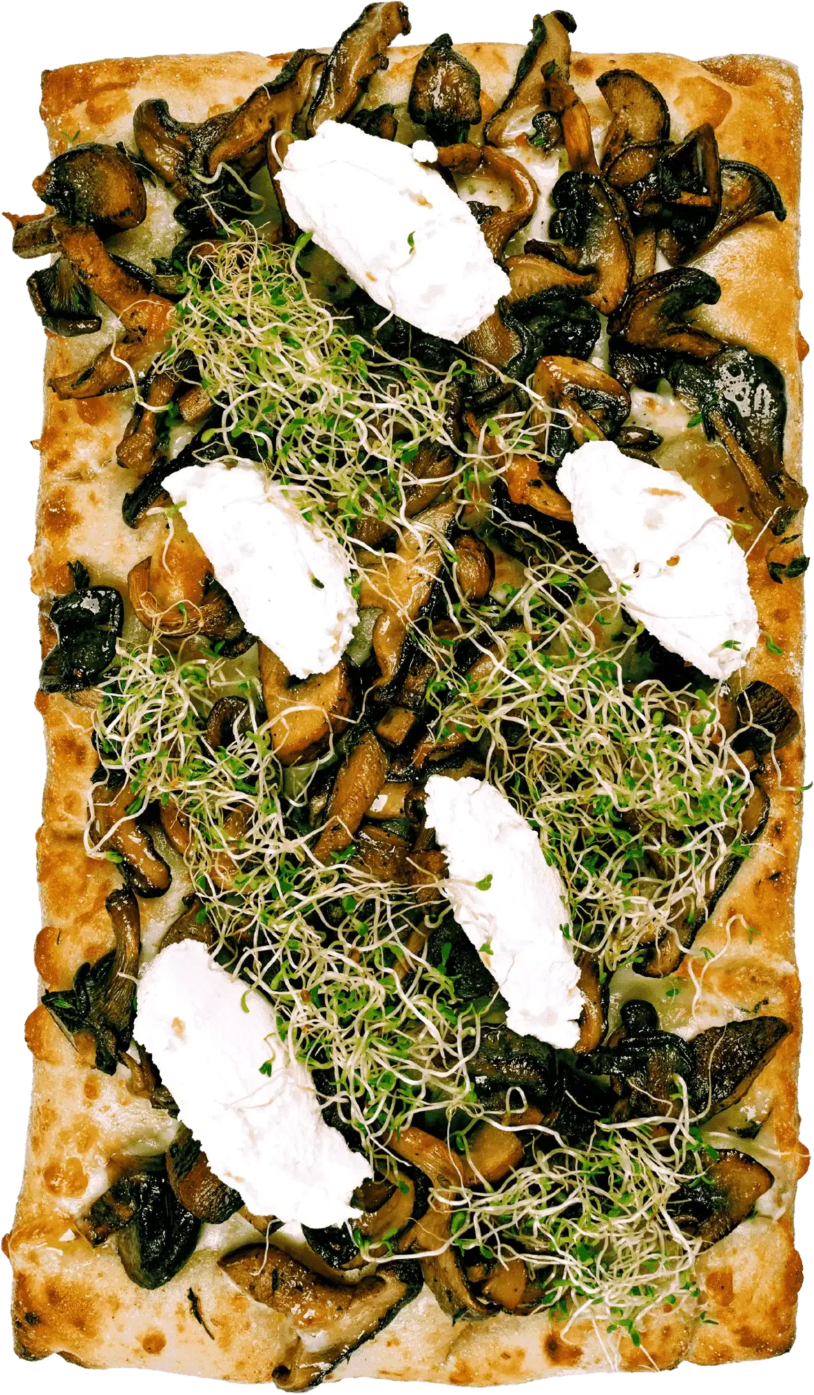 Wild Mushroom & Ricotta Flatbread top down shot